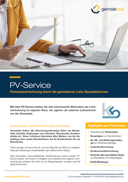 PV-Service